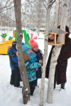 Кормушки развешены, дожидаемся птиц.